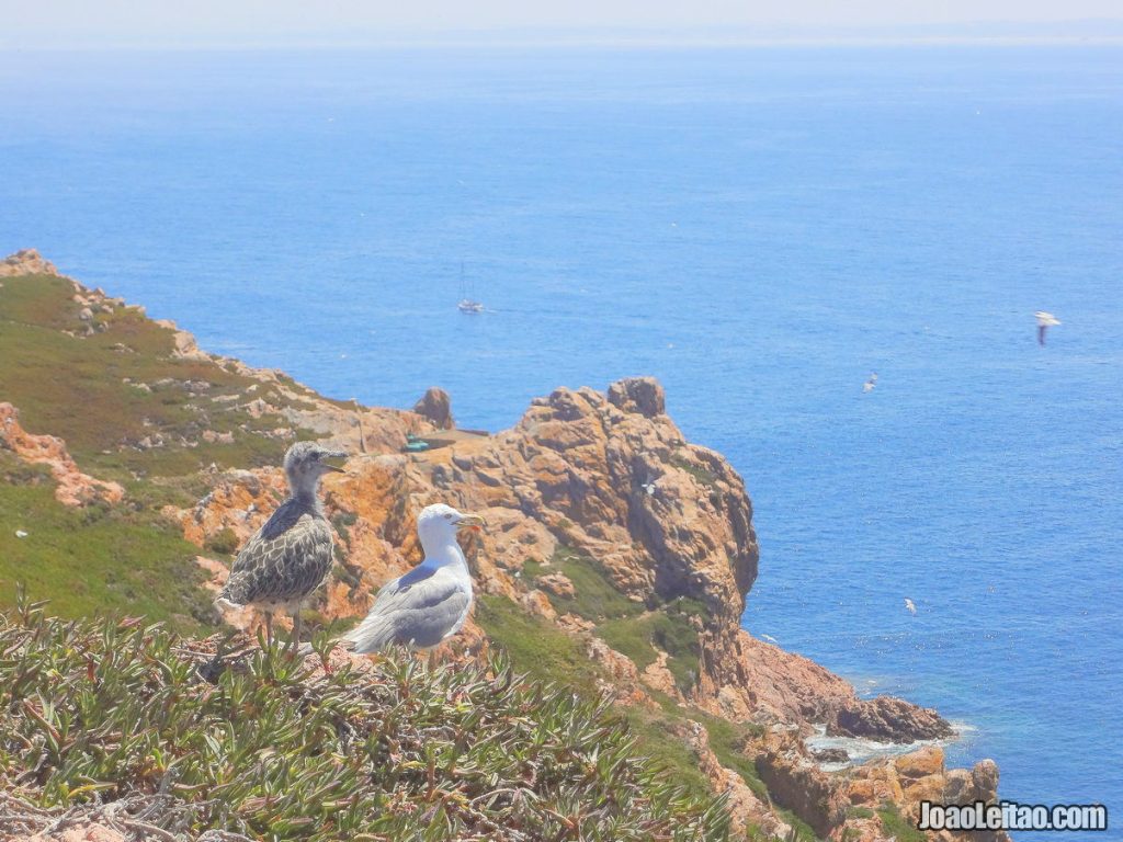 Visit Berlengas Islands Portugal • Travel Guide with Top Things to Do