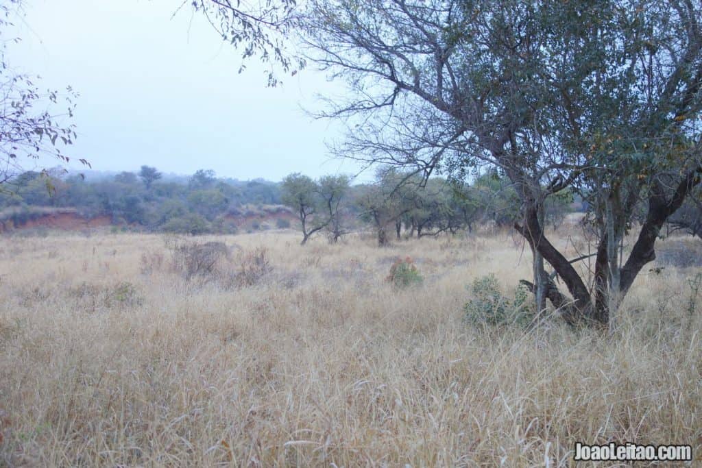 Manavhela Ben Lavin Nature Reserve