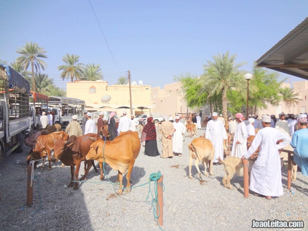 Nizwa Animal Market