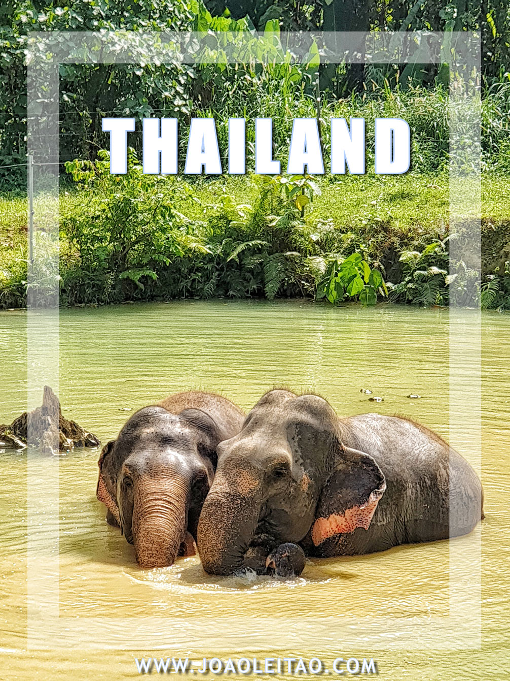 Interesting facts about Thailand