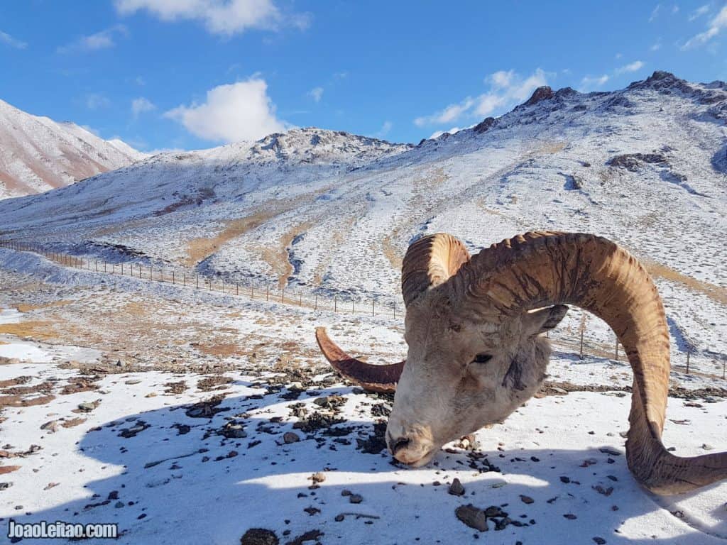 Pamir Highway • 24-hour Van Life in No Man's Land Pamir Highway • 24-hour Van Life in No Man's Land