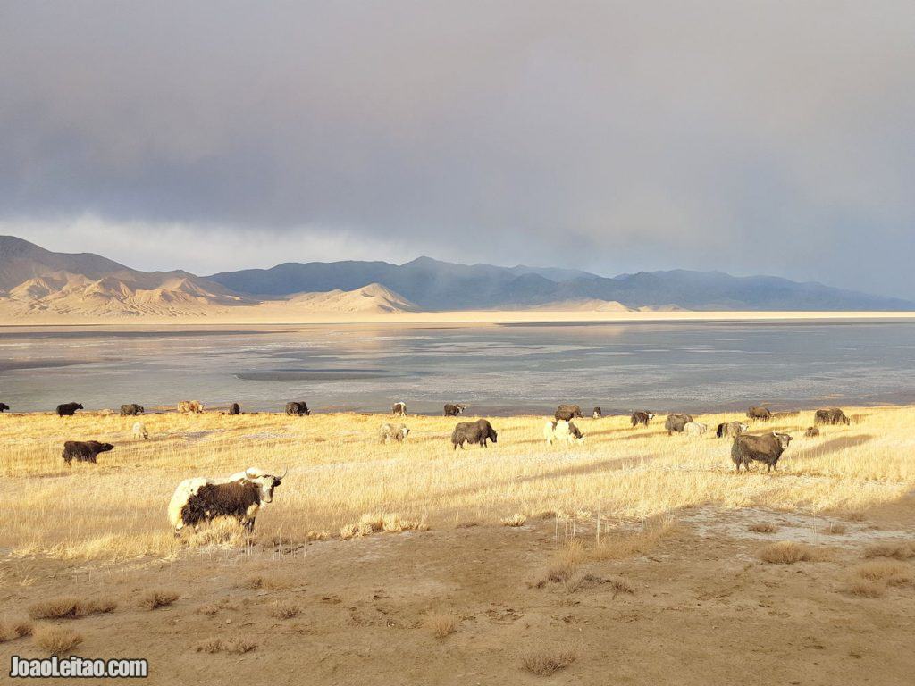 Pamir Highway • 24-hour Van Life in No Man's Land Pamir Highway • 24-hour Van Life in No Man's Land