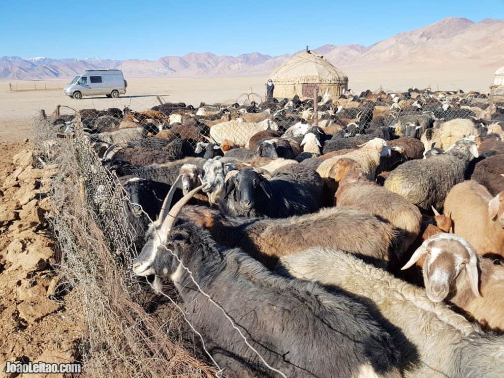 Close to Rangkul Lake in Tajikistan near the Chinese border