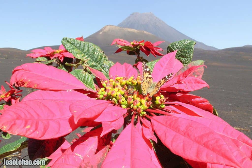 Fogo National Park