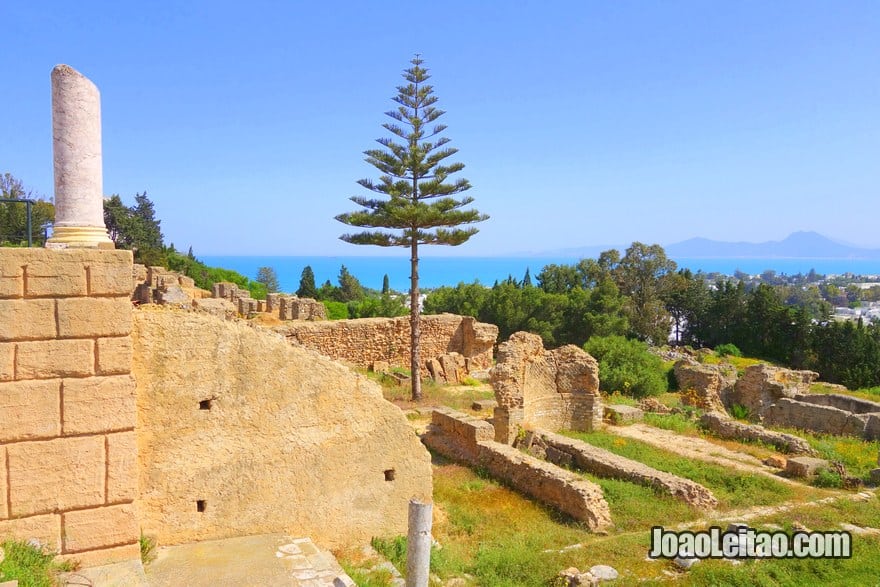 Carthage National Museum